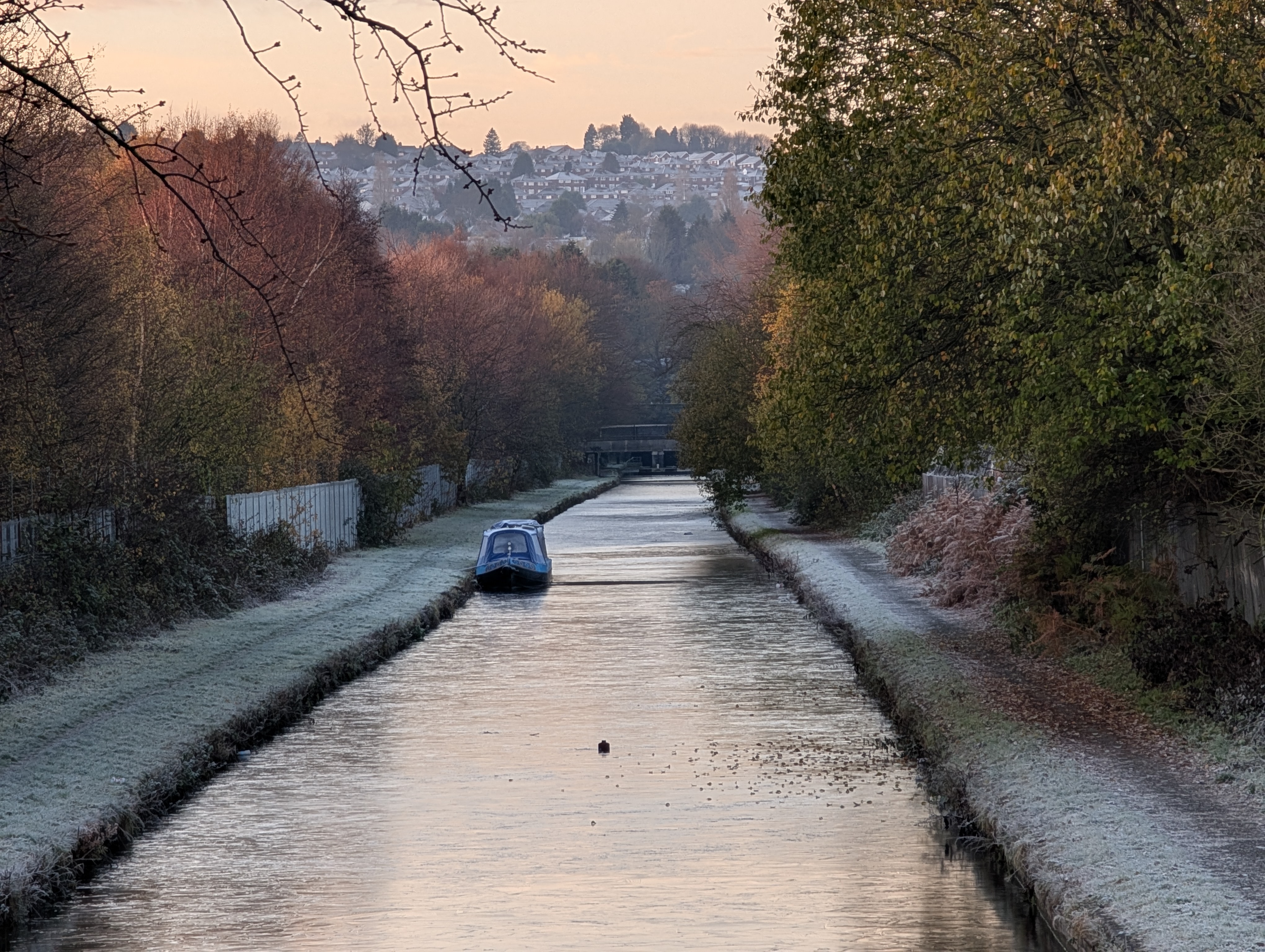 Ice Breaker Jenny Wren