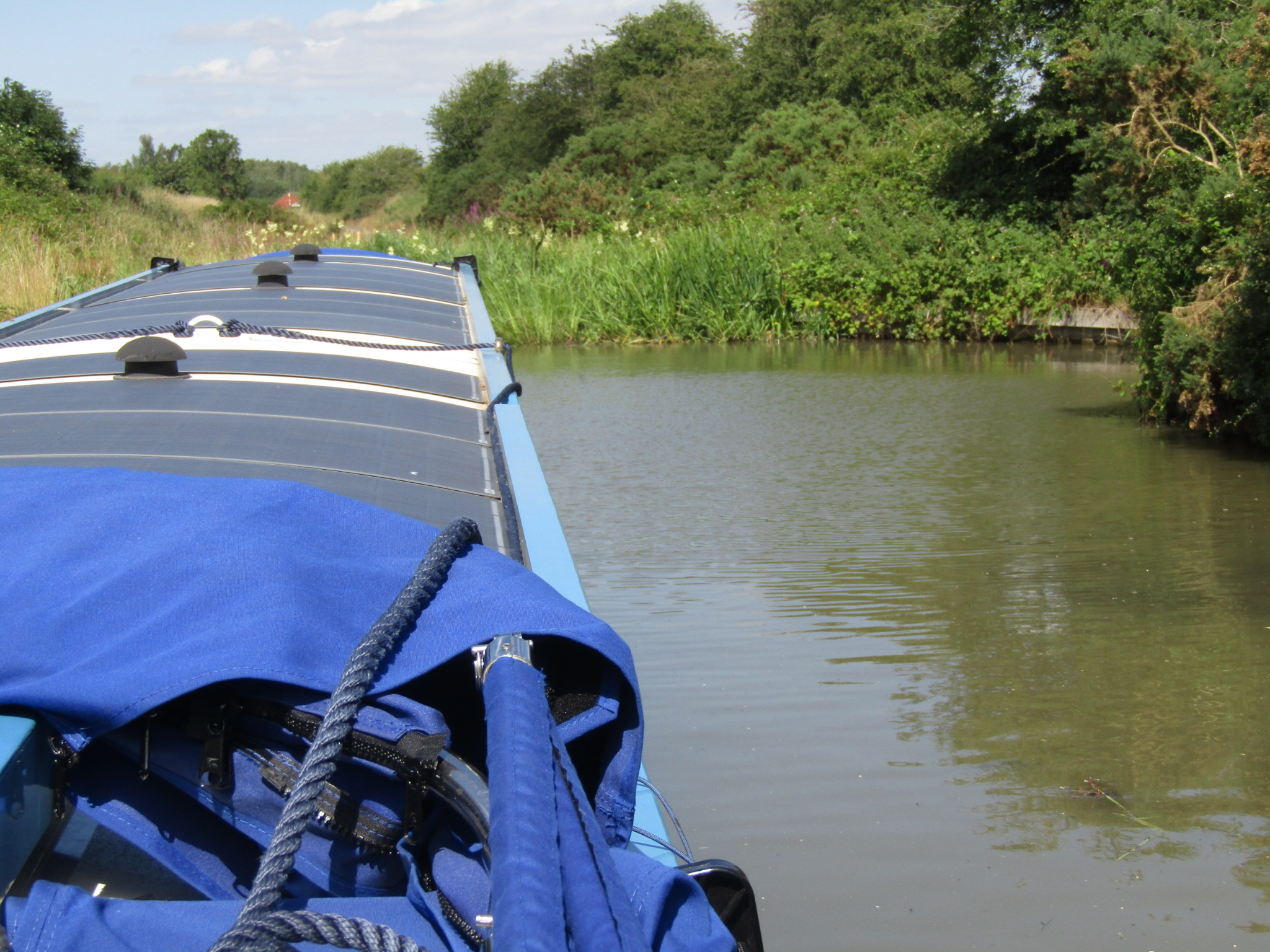 The Ashby Canal